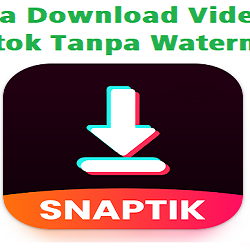 SnapTik, Cara Download Video Tiktok Tanpa Watermark